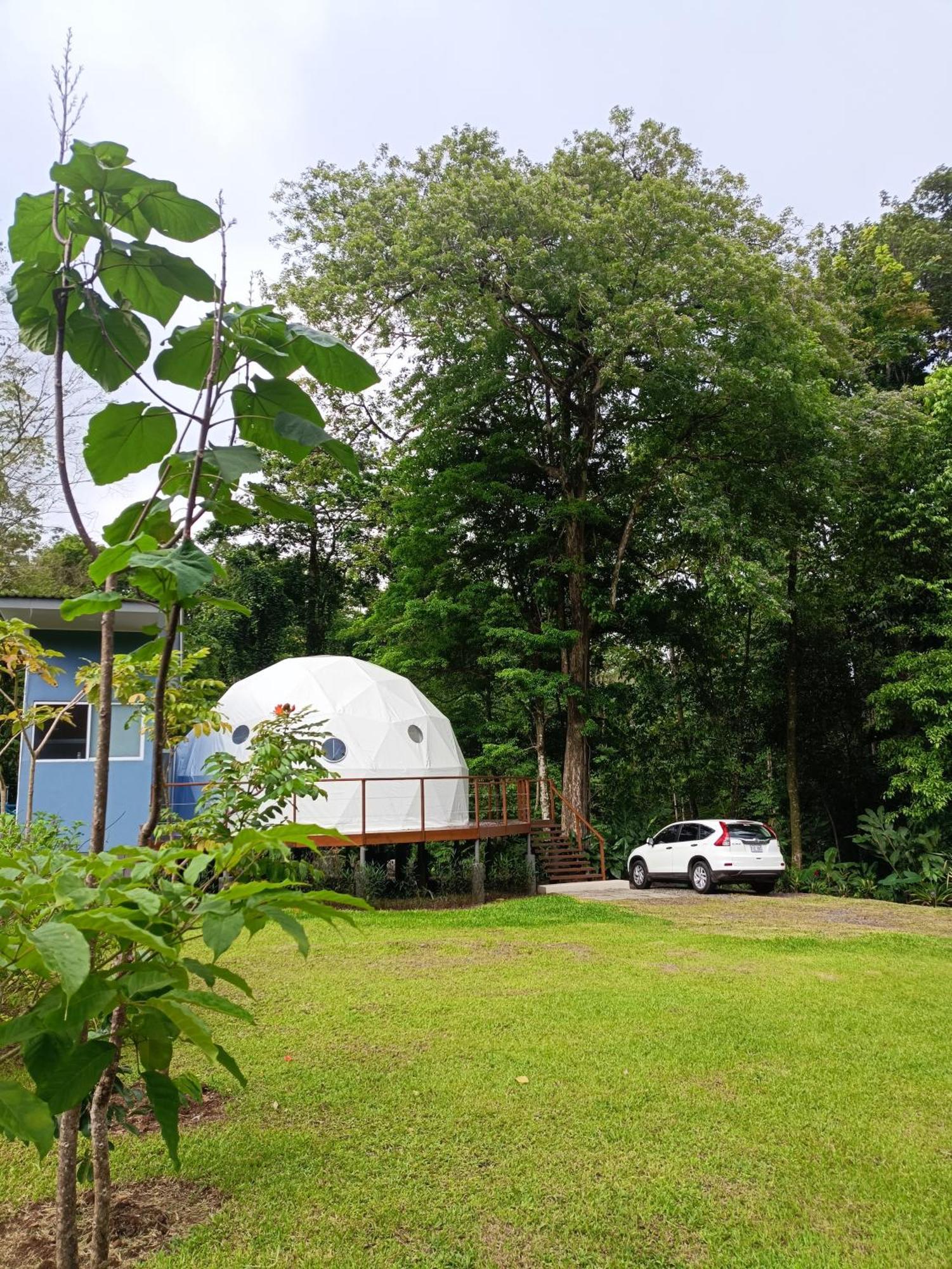 Bitzu Dome-Bijagua Riverside Glamping Exteriör bild