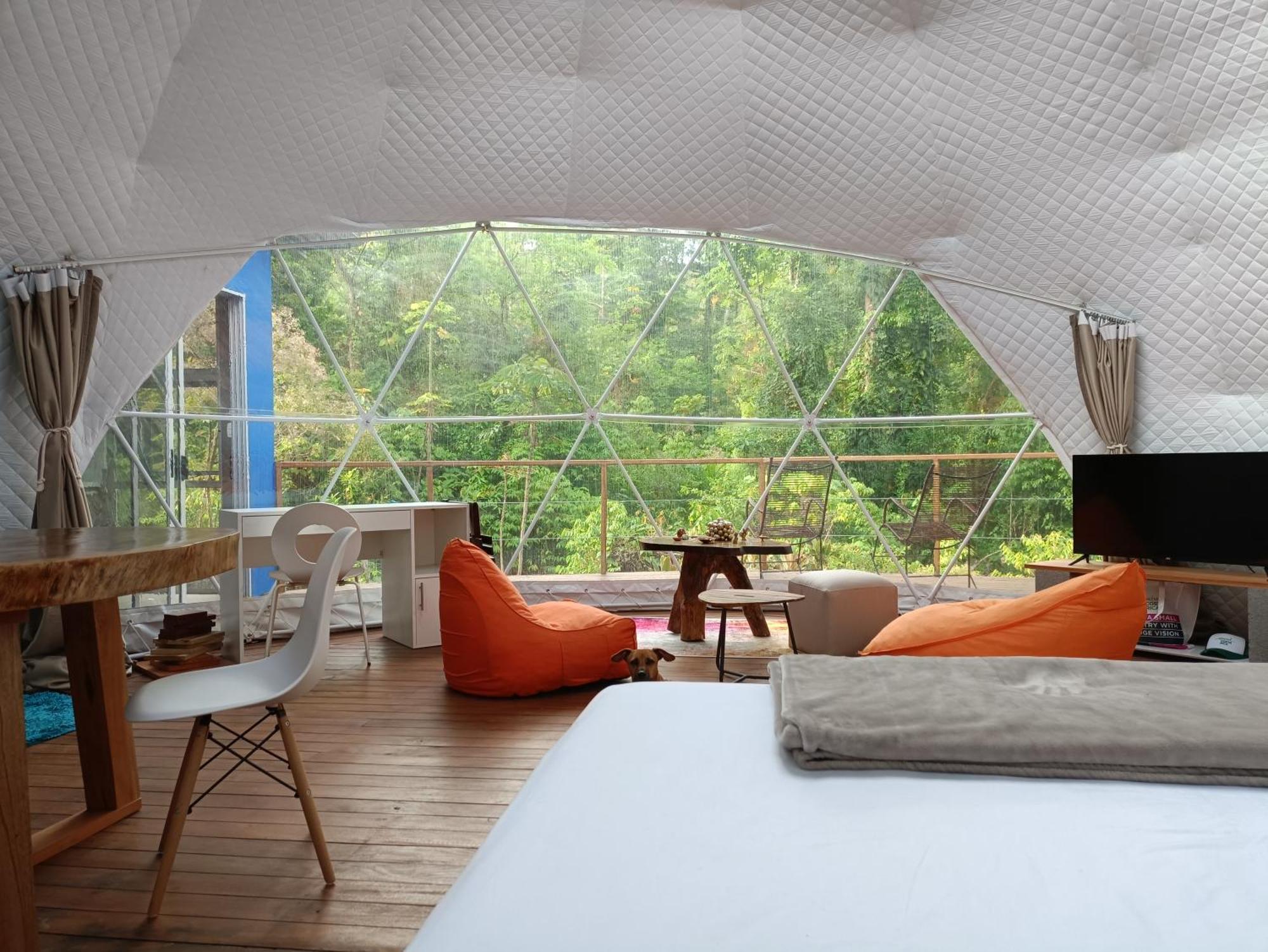 Bitzu Dome-Bijagua Riverside Glamping Exteriör bild